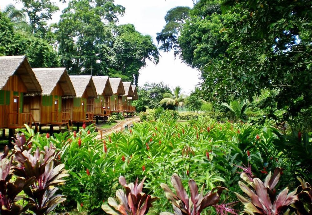 Amazon - Tambopata National Park: Eco Amazonia - 3 Days - from Puerto Maldonado